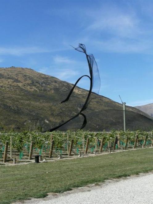 Protective netting which was caught up in a freak twister at Gibbston's Hawkshead Vineyard on...