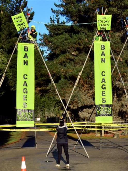Protesters sit at the top of a tripod structure blocking the entry to Zeagold Foods in Waikouaiti...