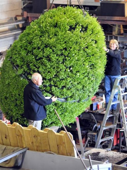 Putting the finishing touches on a Dunedin City Council giant flowering rugby ball in Dunedin...