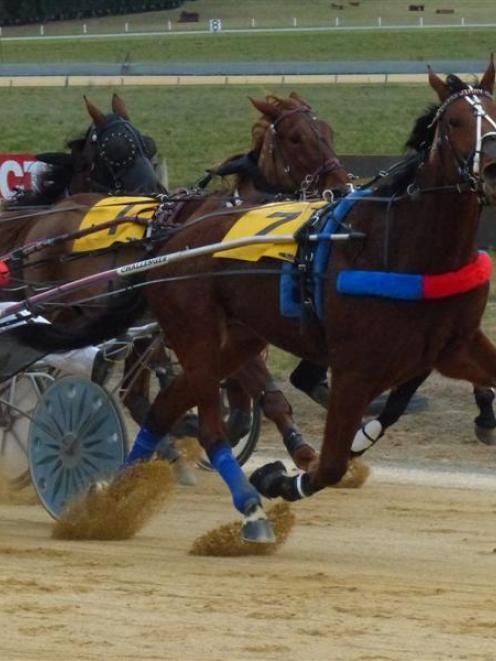 Quality Invasion ends his career as a winner in the hands of driver Amber Lethaby at Oamaru...