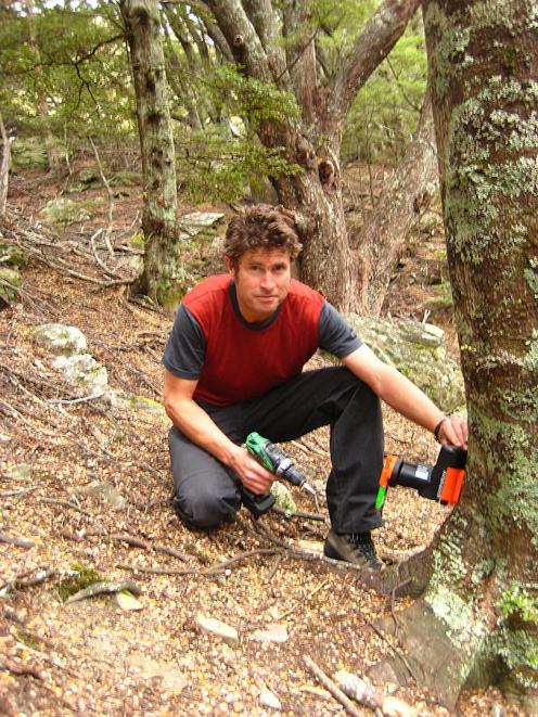 Queenstown Climbing Club committee member Philip Green installs a possum trap at Wye Creek, south...