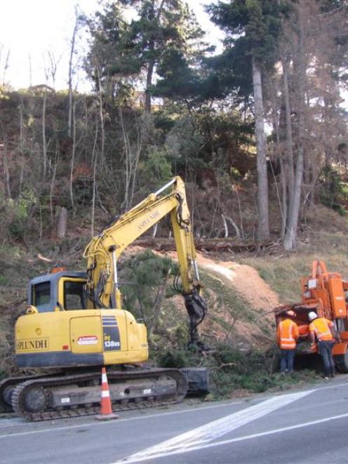Queenstown Lakes District Council contractors remove dangerous ageing pine trees from a reserve...