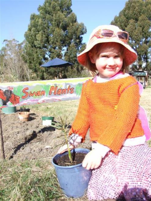 Quinn Plunkett (5) in front of the sign she painted in the swan plant bed at the Waitaki...