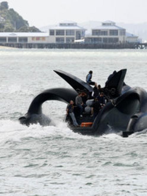 Ady Gil, formally known as Earthrace, makes it way out of the Auckland Harbour as it gets set to...