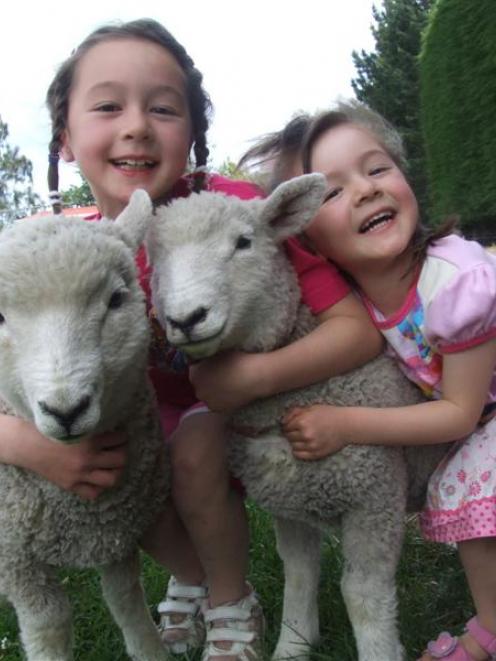 Renata (left) and Shannon Burnett have been preparing their lambs for a pet day in Oamaru...
