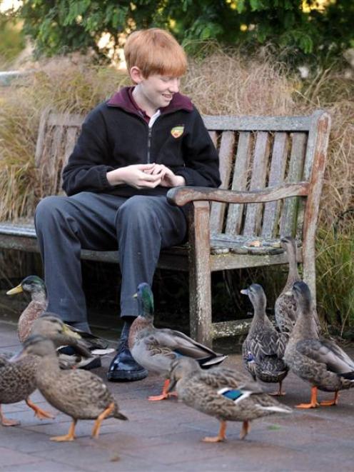 Rhian Gaffney hopes his study of ducks in the Northeast Valley will help improve the survival...