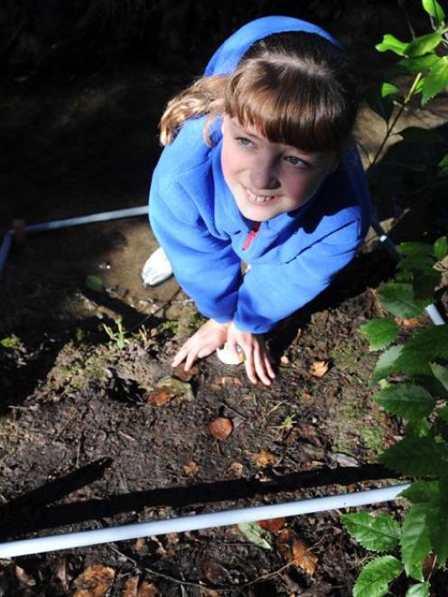 Rhiannon McFarlane (10), a year six pupil at Abbotsford School, takes part in a "Meeting a Metre"...
