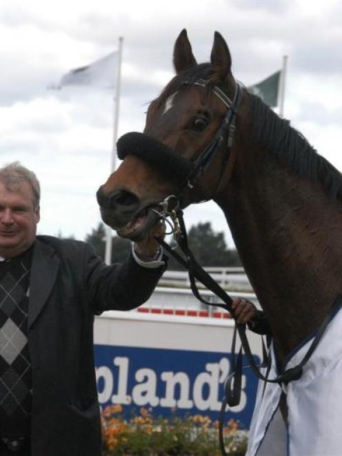 Riccarton trainer Michael Pitman with the ill-fated Final Reality, winner of the Coupland's...