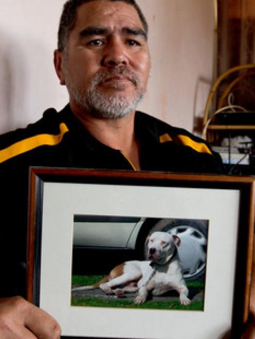 Robert Wellington with a photo of his dog Buddy who was shot by police at his home in Otara two...