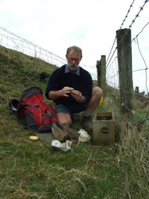 Roy Johnstone checks one of the 16 predator traps he has in eplace at Penguin Bay in the Catlins....
