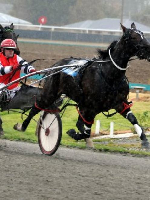 Royal Cee Cee (Michael House) in full flight at the start of the Southland Oaks on Saturday....