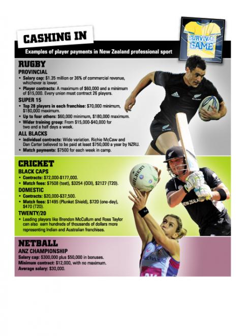 Examples of player payments in New Zealand professional sport.