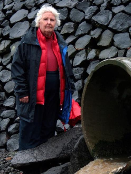Save The Otago Peninsula spokeswoman Lala Frazer inspects culverts at Macandrew Bay, beside...