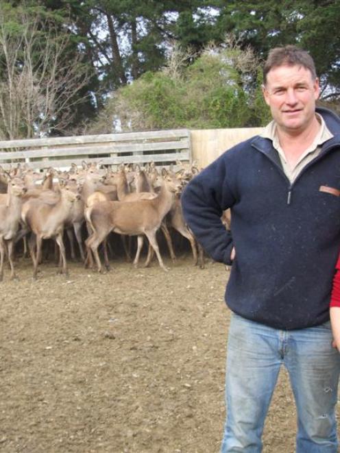 Shane and Leona Trimble have enjoyed the challenge of converting a sheep and beef farm into a...