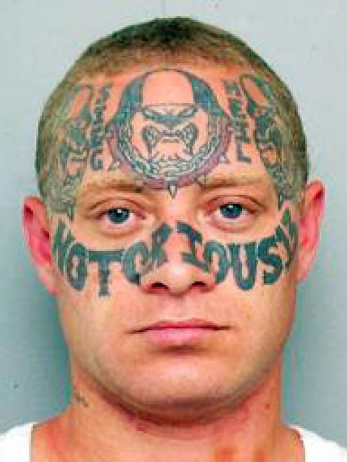 Notorious Napier Fugitive Captured Otago Daily Times