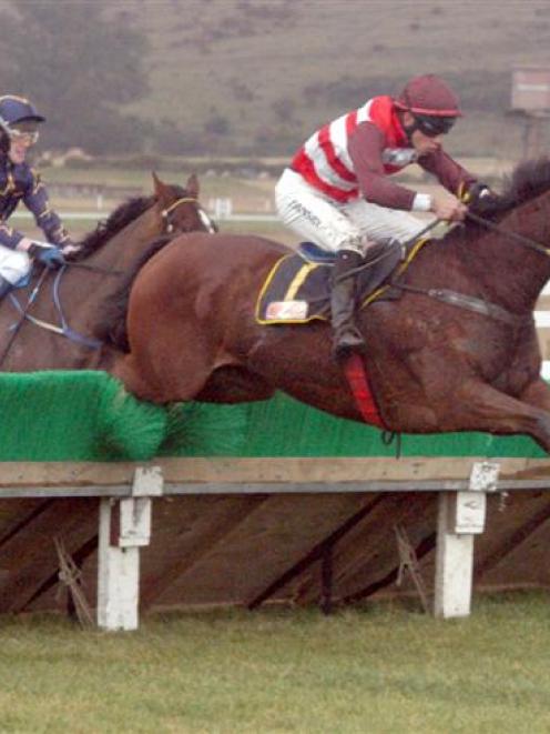 Sharp Prick clears the last fence on his way to winning the open hurdles at Oamaru yesterday.