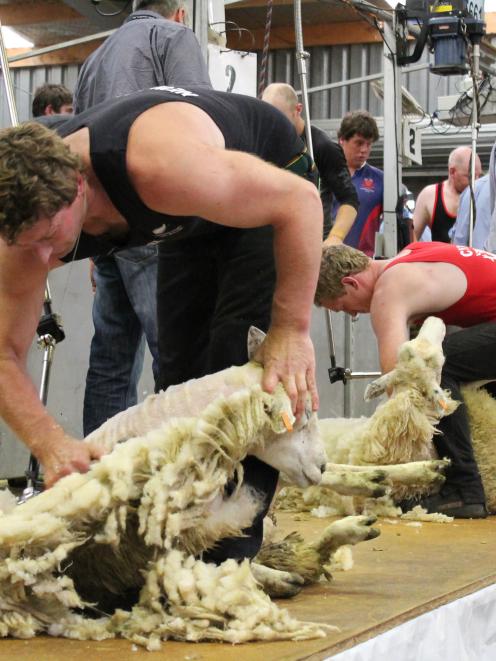Showing his form in last year's test against Wales is shearer Tony Coster (left), of Rakaia, who...