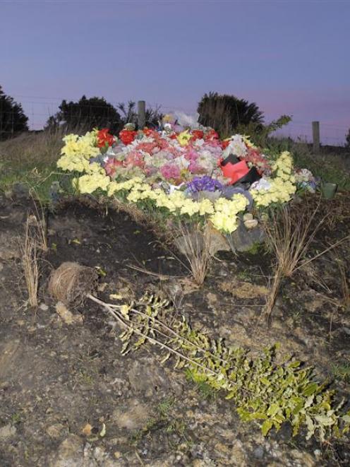 Shrubs to screen a Dunedin motorway memorial have been vandalised. Photo by Gregor Richardson.