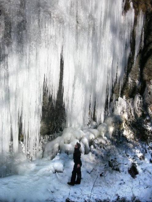 Skippers Canyon Jet marketing manager Matt Rhodes inspects a frozen wall of water. Photo by...