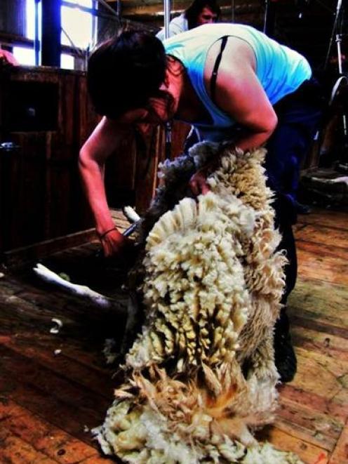 Skyla Taylor has completed a certificate in shearing and wool handling at Telford. Photo supplied.