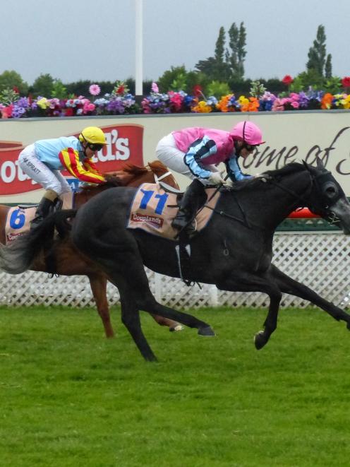 Slice Of Class, ridden by Kelly Myers, gets home ahead of Pinzaara in the group 3 Valachi Downs...