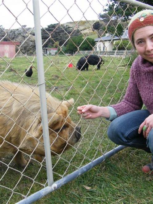 Smaills Beach resident Felicity Yellin with the friendly kunekune sow being housed with Miss...