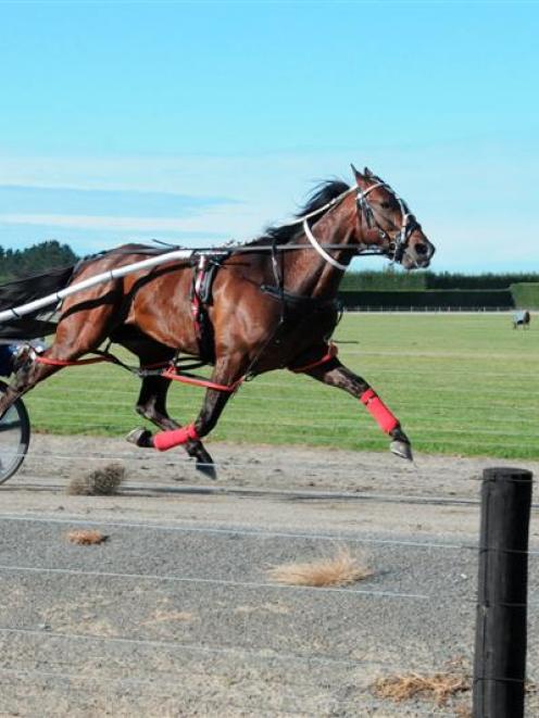 Smiling Shard (Dexter Dunn) in his final New Zealand Trotting Cup workout at West Melton...