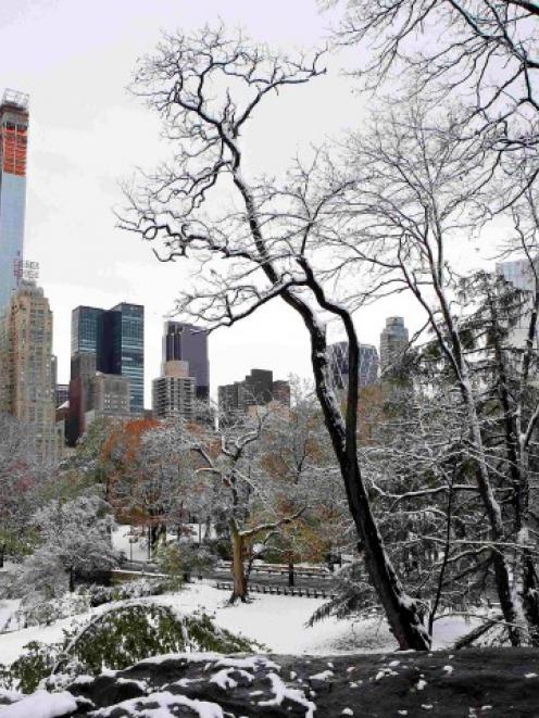 Snow covers the ground in Central Park after a nor'easter struck with high winds and heavy...