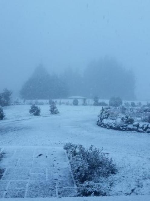 Snow on Three Mile Hill in Dunedin today. Photo Teressa Willitts
