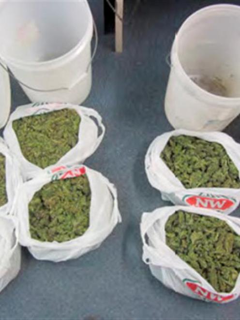 Some of the 8kg of cannabis worth an estimated $98,000 seized by Dunedin police during a four...
