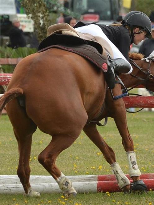 Sophie Muir (12), of Palmerston, has a close call as her horse, Windward Legacy, hits the rail...