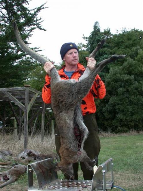 South Canterbury Recreational Sportsmen's Club president Keith Welsh weighs in a wallaby at the...