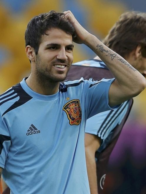 Spain player Cesc Fabregas attends a training session at the Olympic stadium in Kiev. REUTERS...