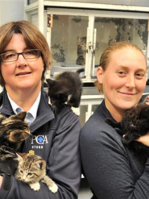 SPCA Otago executive officer Sophie McSkimming and animal attendant Rachel Van Grunsven in the...