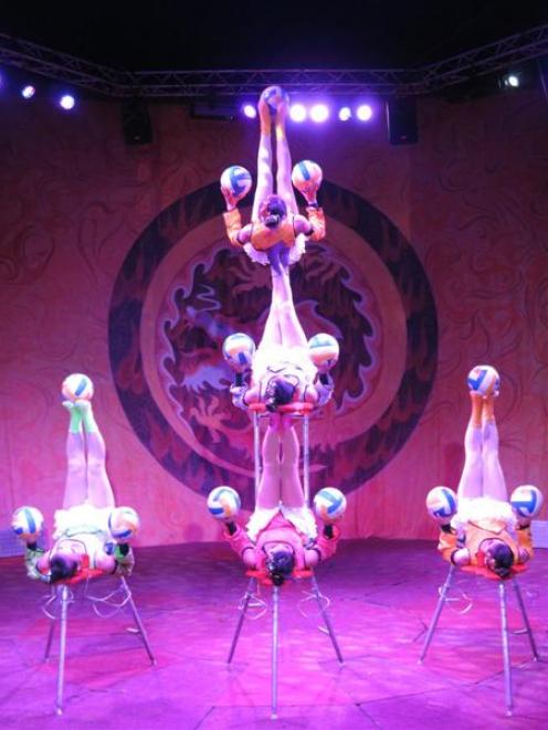 Spectacular juggling acts, acrobatic, magicians and clowns are features of the Zirka Circus,...