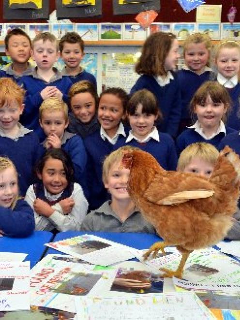 St Joseph's Cathedral School pupils play with a homeless hen in Dunedin yesterday. PHOTO: STEPHEN...