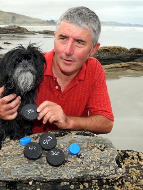 Stan Rivett and his 4-year-old affenpinscher dog, Lili, examine the numbered plastic jar tops...