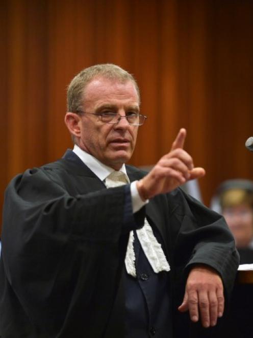 State prosecutor Gerrie Nel makes a point during the trial of Oscar Pistorius at the North...