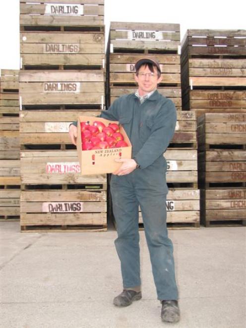 Stephen Darling, at his Teviot packhouse with a box of New Zealand rose apples, bound for...