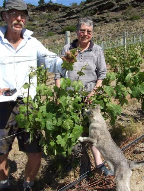 Sue Edwards and Verdun Burgess (and Burmese cat Kuce) will be looking for another, smaller, block...