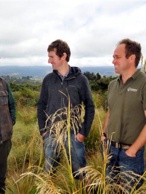 Surveying an area earmarked for the release of a takahe pair at the Orokonui Ecosanctuary are ...