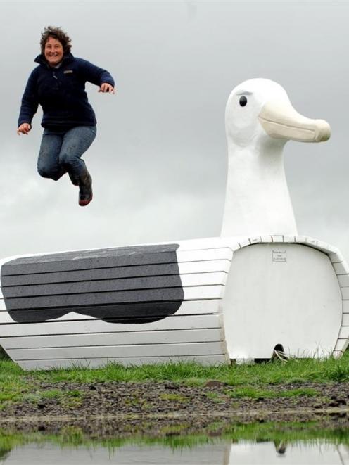 Taieri District Pony Club president Anne Beattie leaps off the novelty albatross jump, part of...