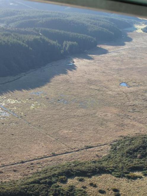 Takitakitoa wetland near Henley. Photo supplied.