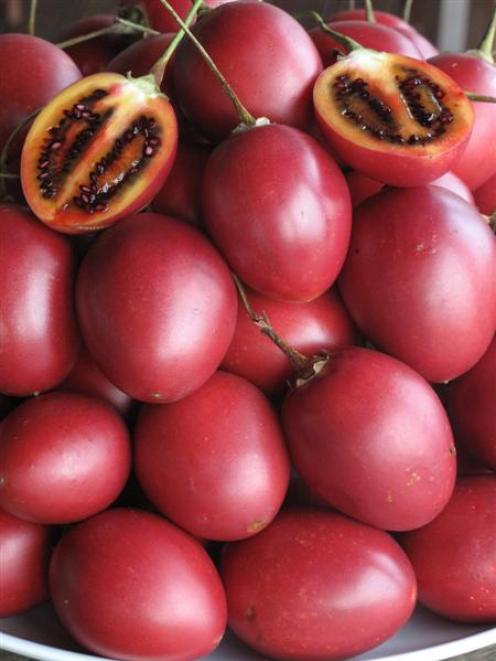 Tamarillos - a jewel in winter (+ recipes) | Otago Daily Times ...