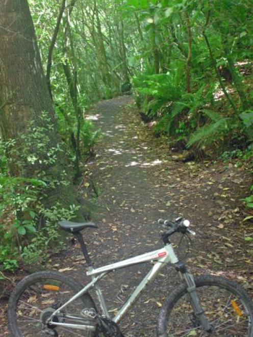 The 1km Jubilee Park track winds through native trees in Belleknowes.