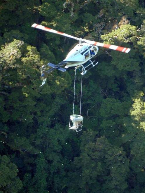 The aerial application of 1080 poison, such as this recent operation in South Westland, is being...