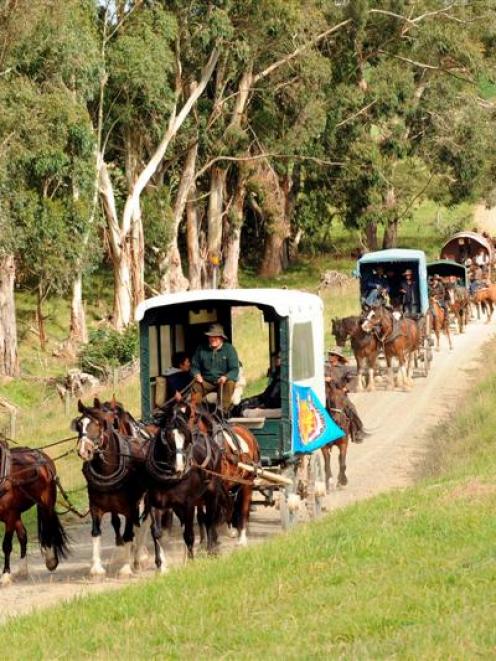 The Alan Nichol Memorial heavy wagon trail heads through Rosedale farm at Weston yesterday, on...