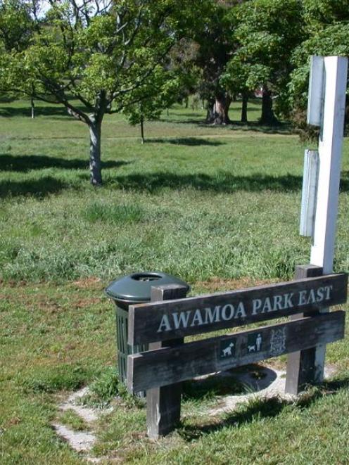 The Awamoa Park East reserve in Oamaru, which is drawing complaints. Photo by David Bruce.