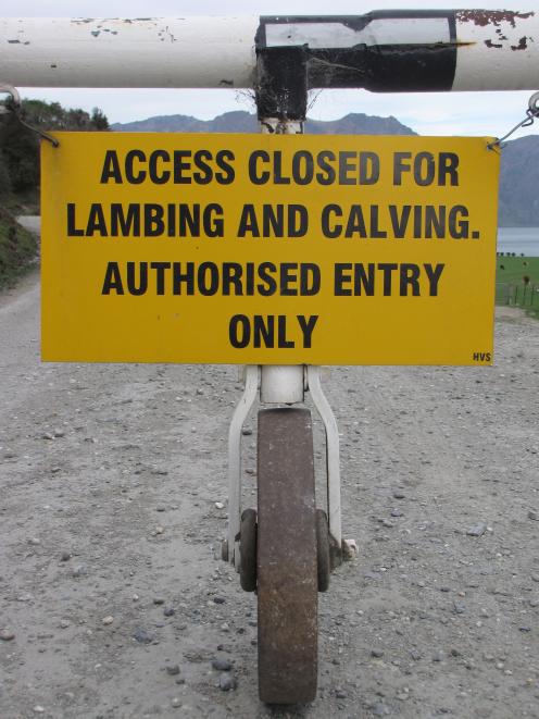 The barrier which blocks Mead Rd during lambing. Photo by Mark Price.