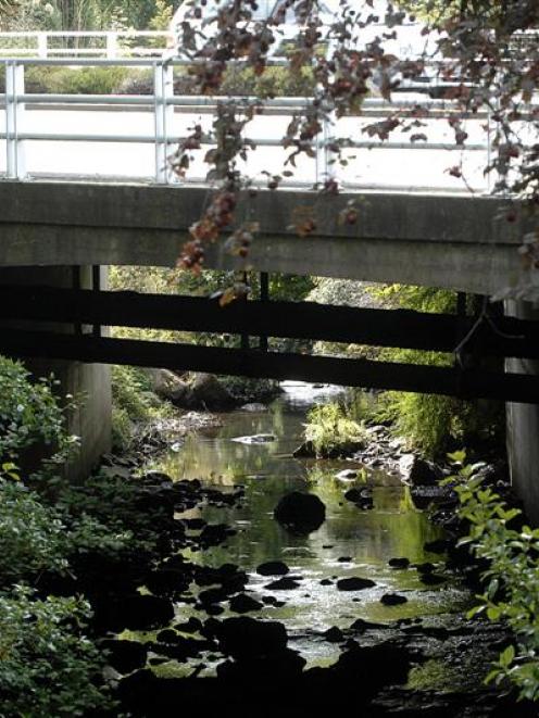 The bridge under Kaikorai Valley Road where sewage spilled  into the Kaikorai Stream yesterday....